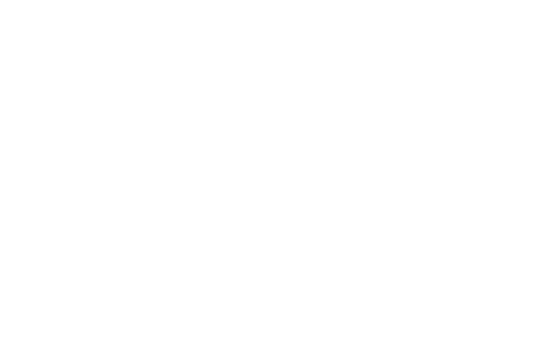 vasco-moretto-consultoria-educacional-logo-branca